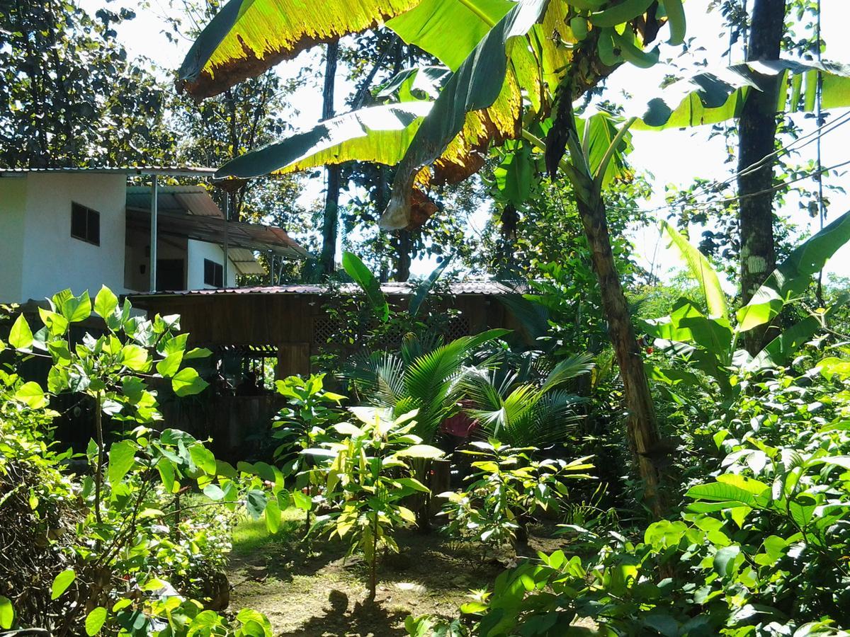 Osa De Rio Hotel Uvita Bagian luar foto