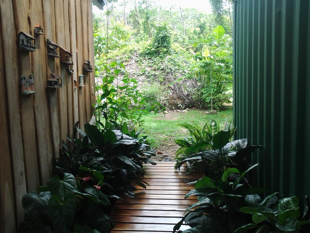 Osa De Rio Hotel Uvita Bagian luar foto