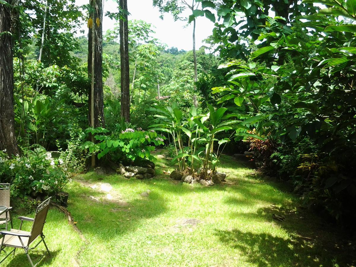 Osa De Rio Hotel Uvita Bagian luar foto